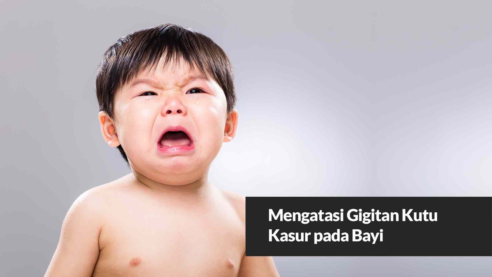 Read more about the article Mengatasi Gigitan Kutu Kasur pada Bayi