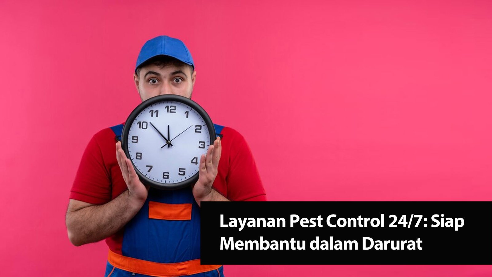 Read more about the article Layanan Pest Control 24/7: Siap Membantu dalam Darurat