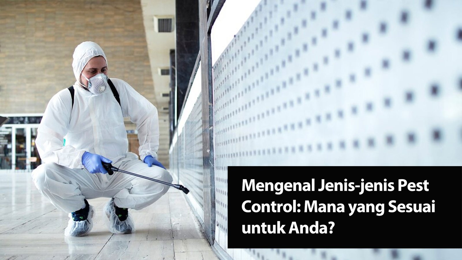Read more about the article Mengenal Jenis-jenis Pest Control: Mana yang Sesuai untuk Anda?
