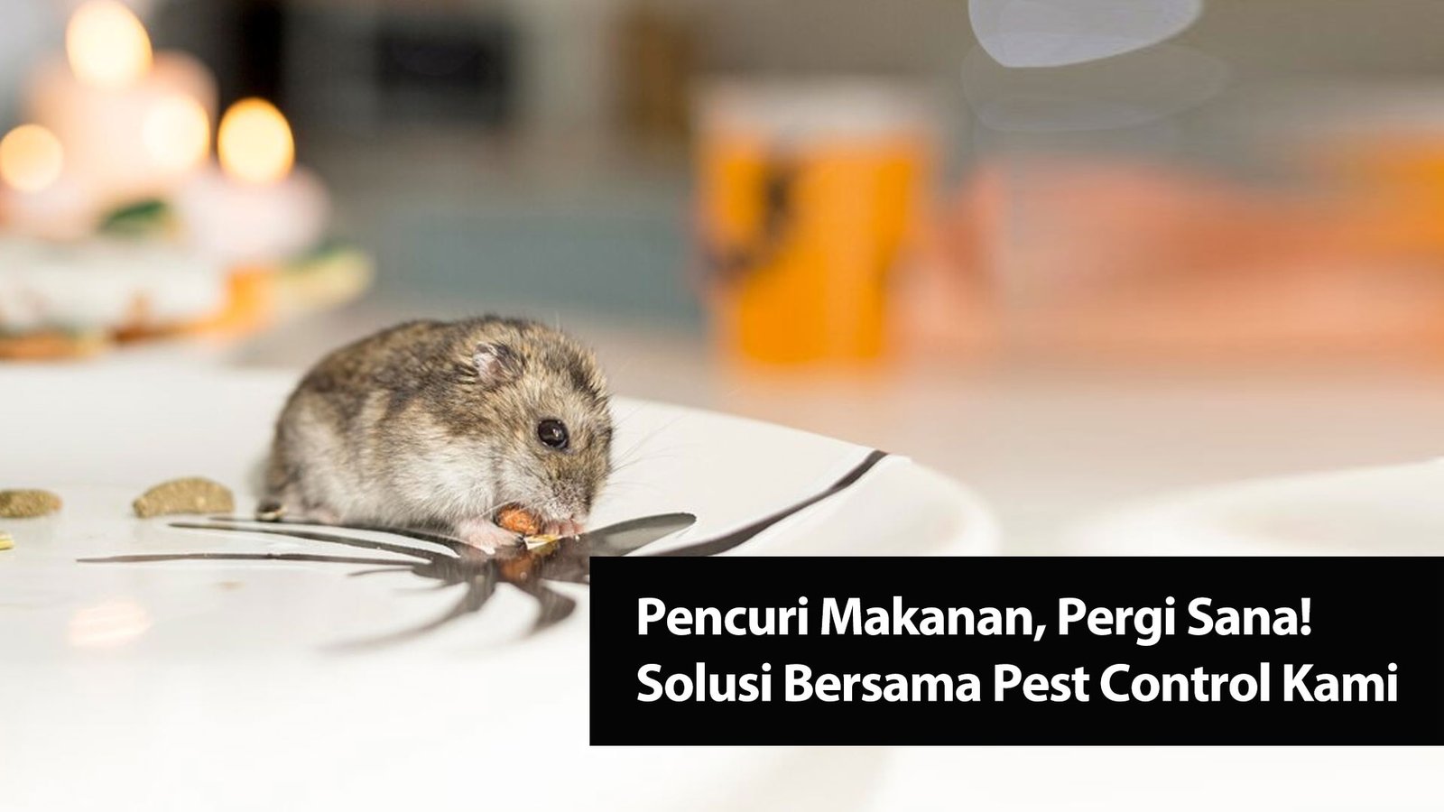 Read more about the article Pencuri Makanan, Pergi Sana! Solusi Seru Bersama Pest Control